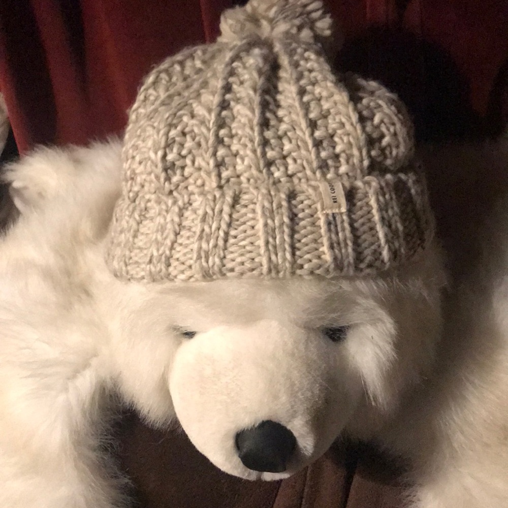 REI Cooperative Pom Pon Knit Beanie